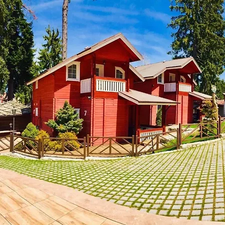 Alpin Borovets, алпин