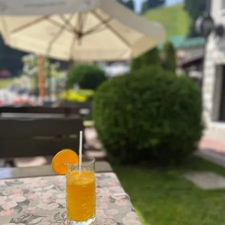 Otel Alpin Borovets, алпин Borovets