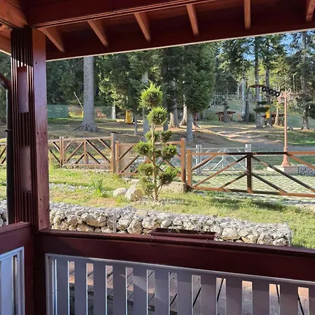 Alpin Borovets, алпин 4* 波罗维茨