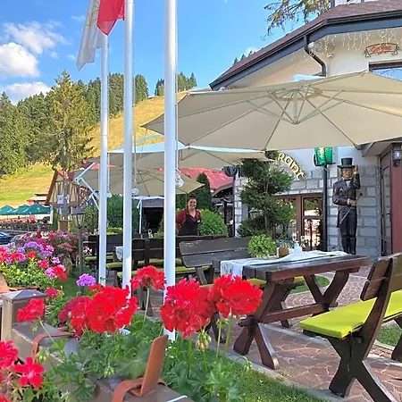 Alpin Borovets, алпин Hotell 4*