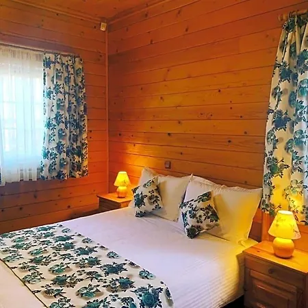 Alpin Borovets, алпин 4* 보로베츠