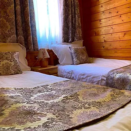 호텔 Alpin Borovets, алпин 4*