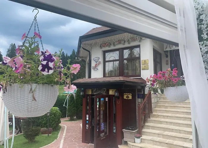 Alpin Borovets, алпин Borowec