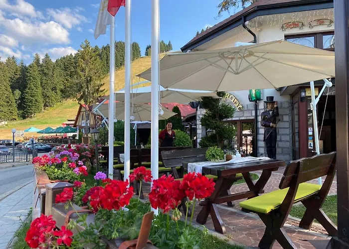 Alpin Borovets, алпин Hotel Borowec