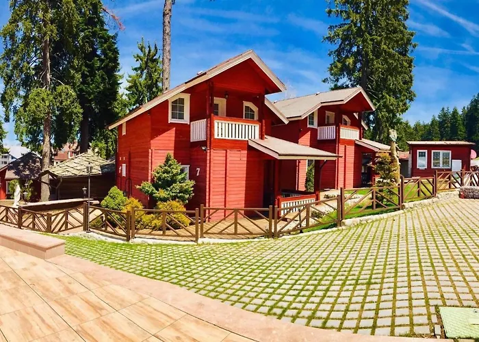 Alpin Borovets, алпин