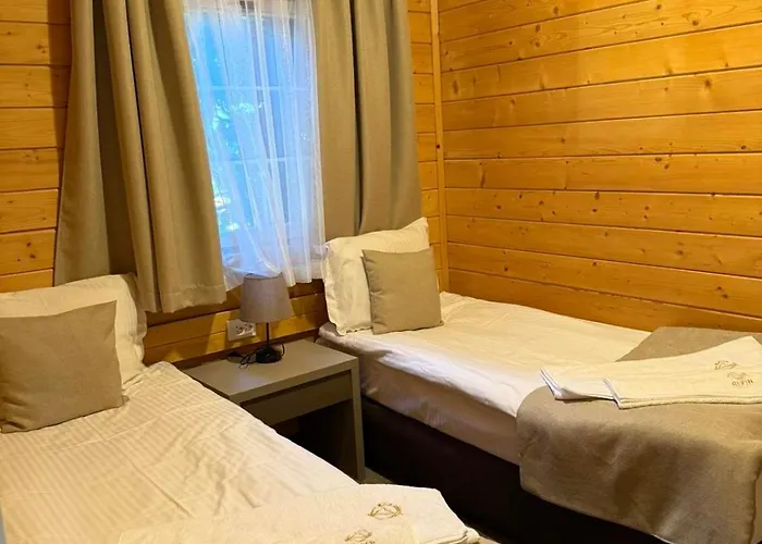 Hotel Alpin Borovets, алпин